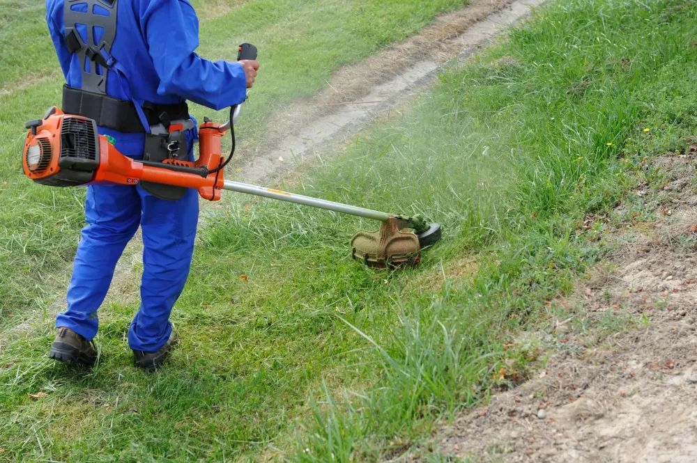 Débroussaillage à Monteux